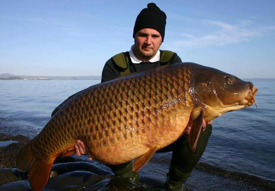 altele  - crap-30kg.jpg